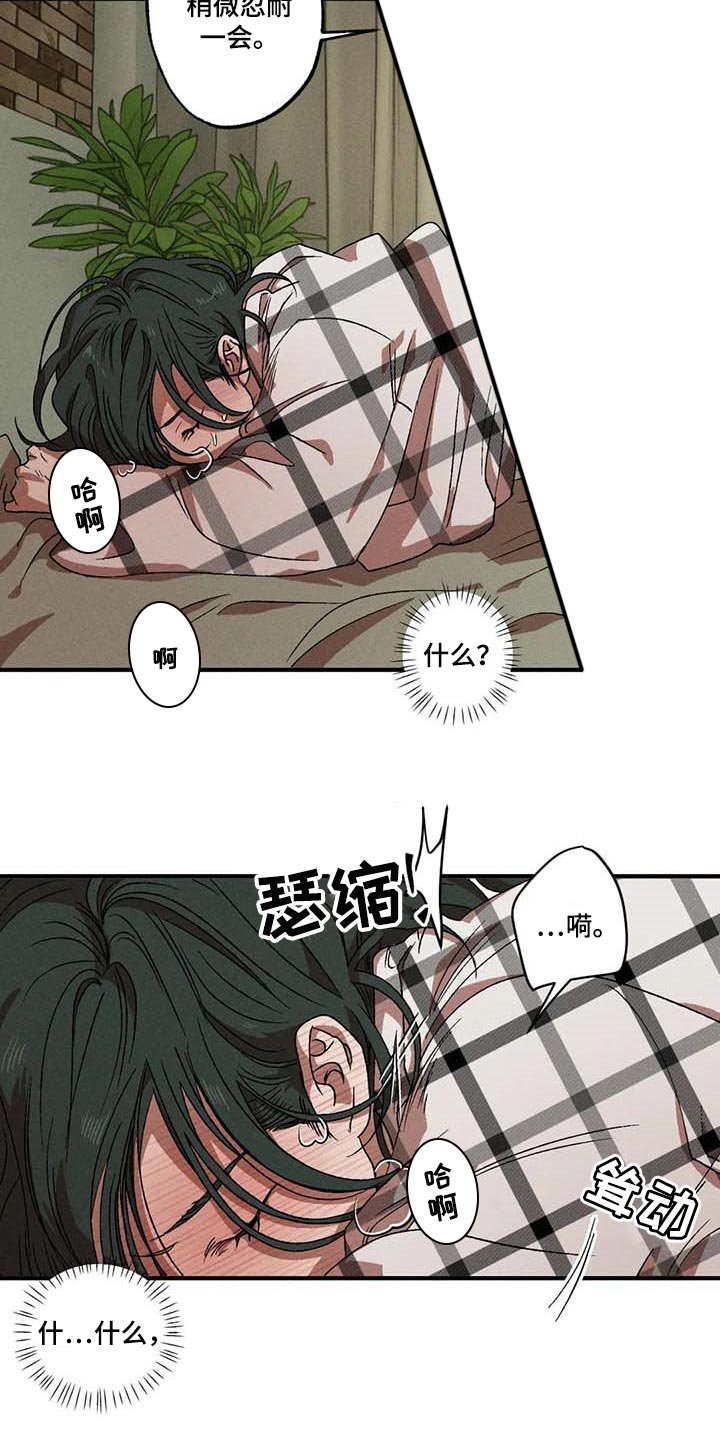 第61章：理想型