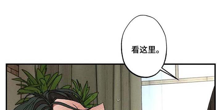 第61章：理想型