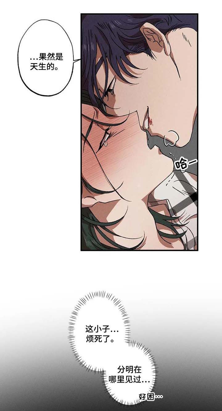 第61章：理想型