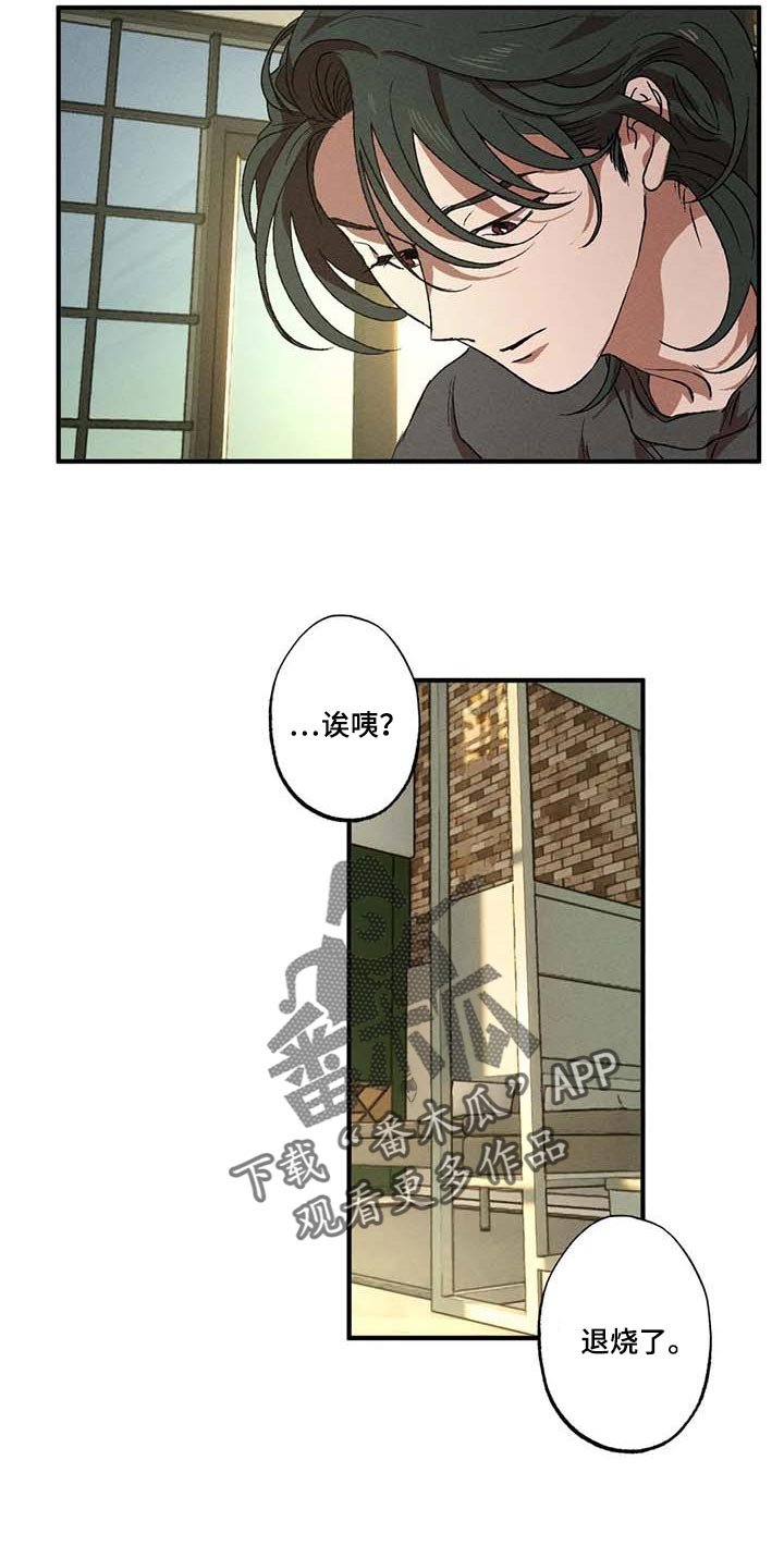第62章：退烧了