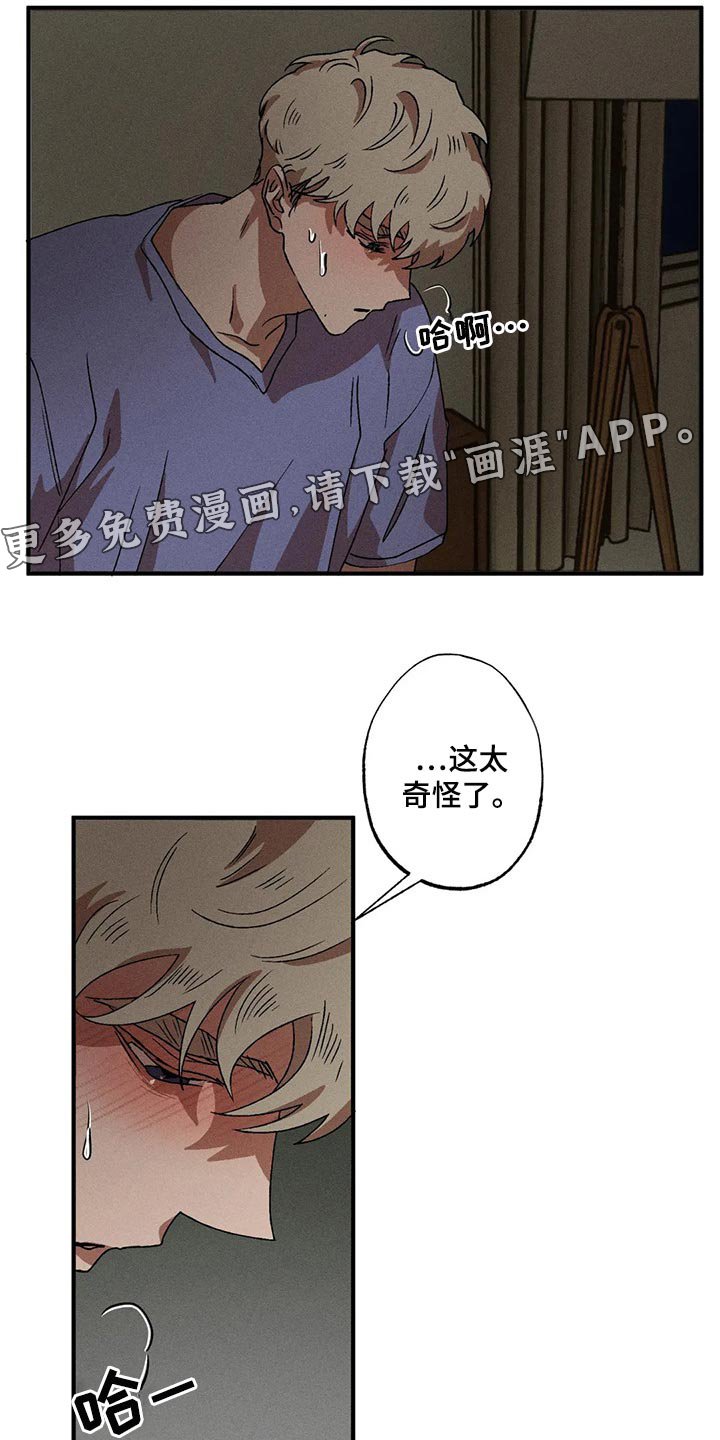 第78章：过于鲜明了