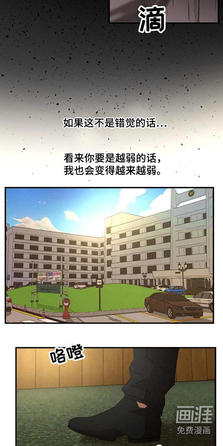 第83章：真面目