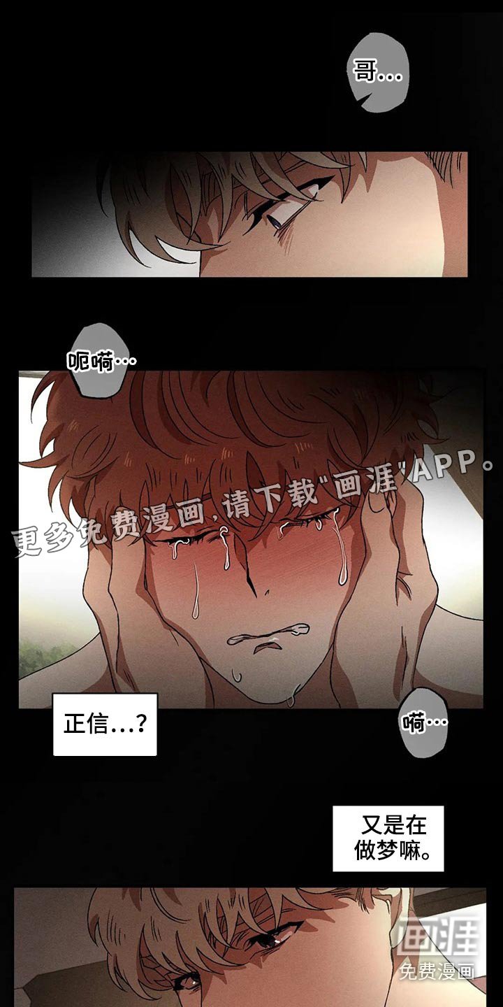第85章：发生了什么