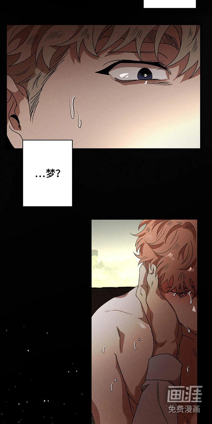 第85章：发生了什么