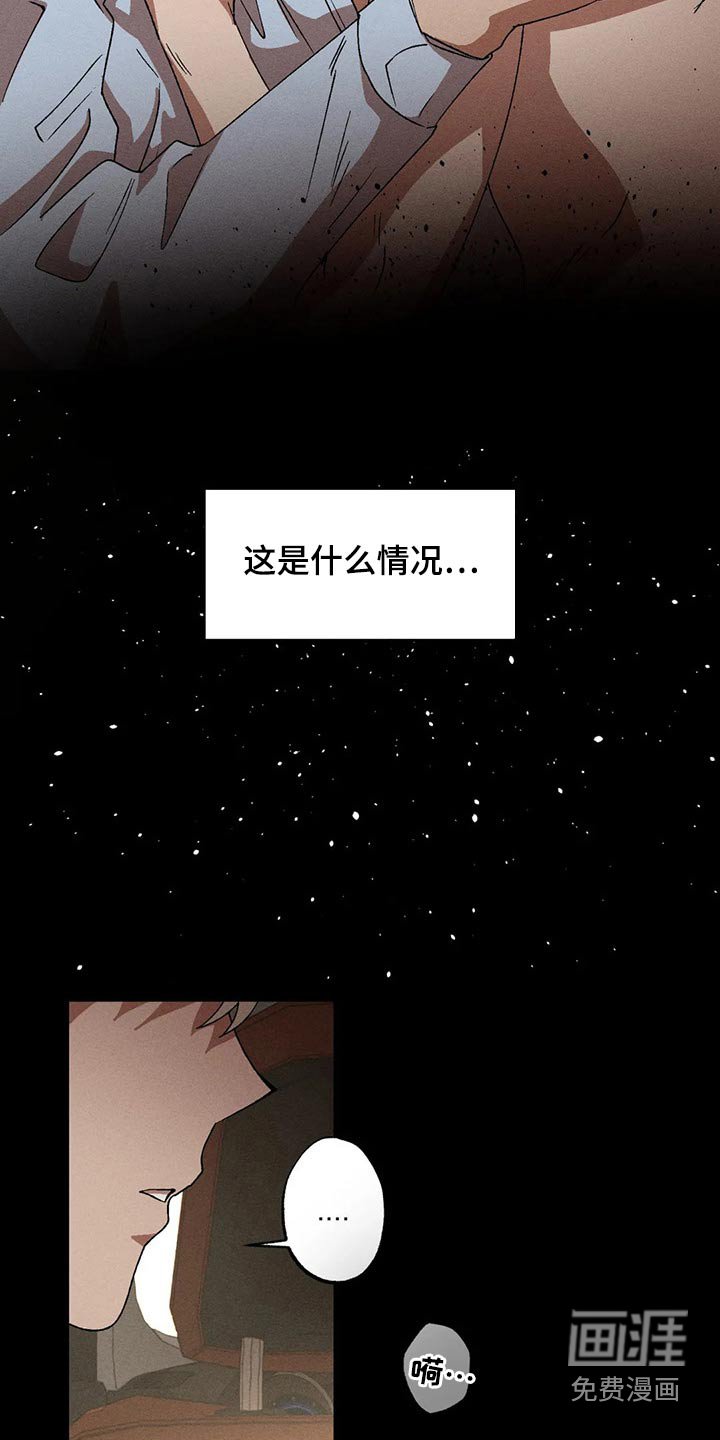第85章：发生了什么