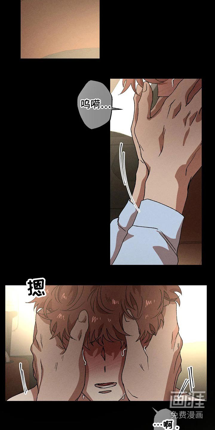 第85章：发生了什么