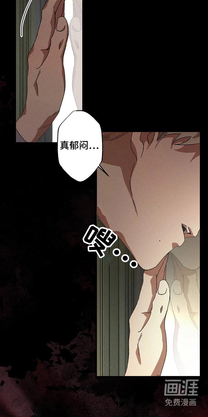 第85章：发生了什么