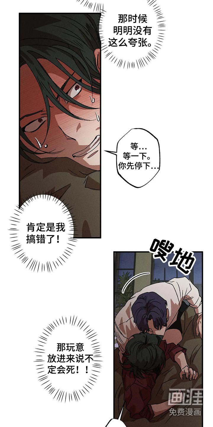第94章：理想型