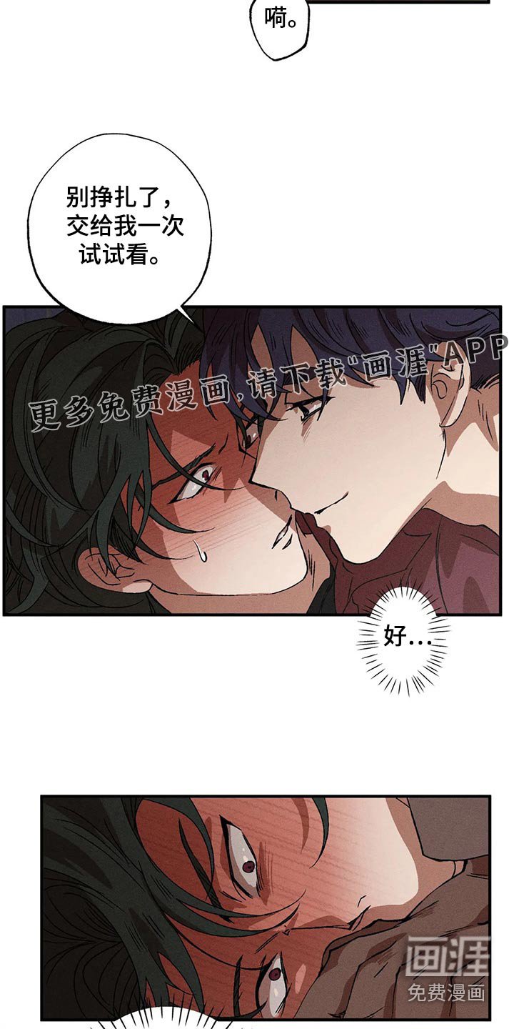 第94章：理想型