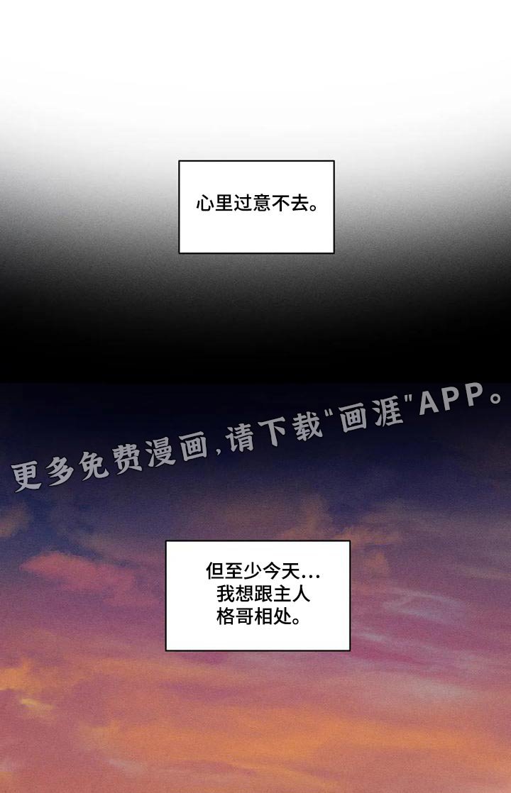 第99章：散步