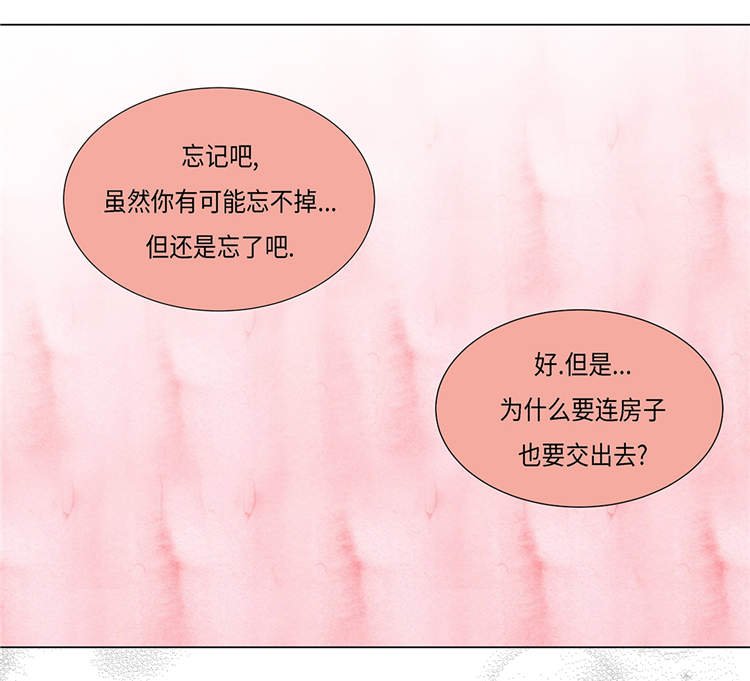 第19章：破产传闻