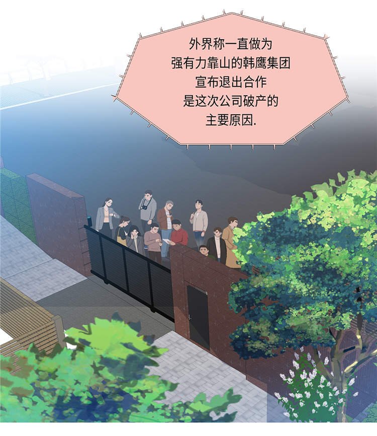 第19章：破产传闻