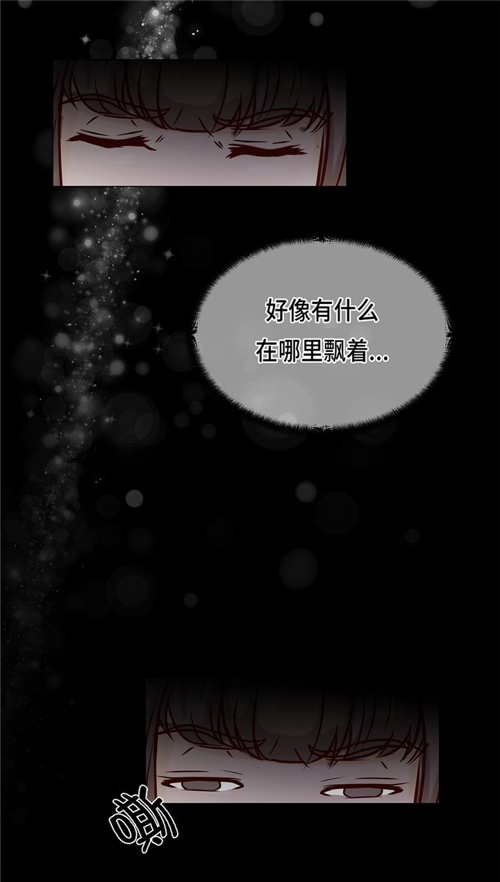 第44章：公主抱