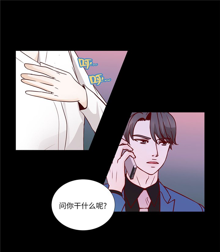 第55章：表白？