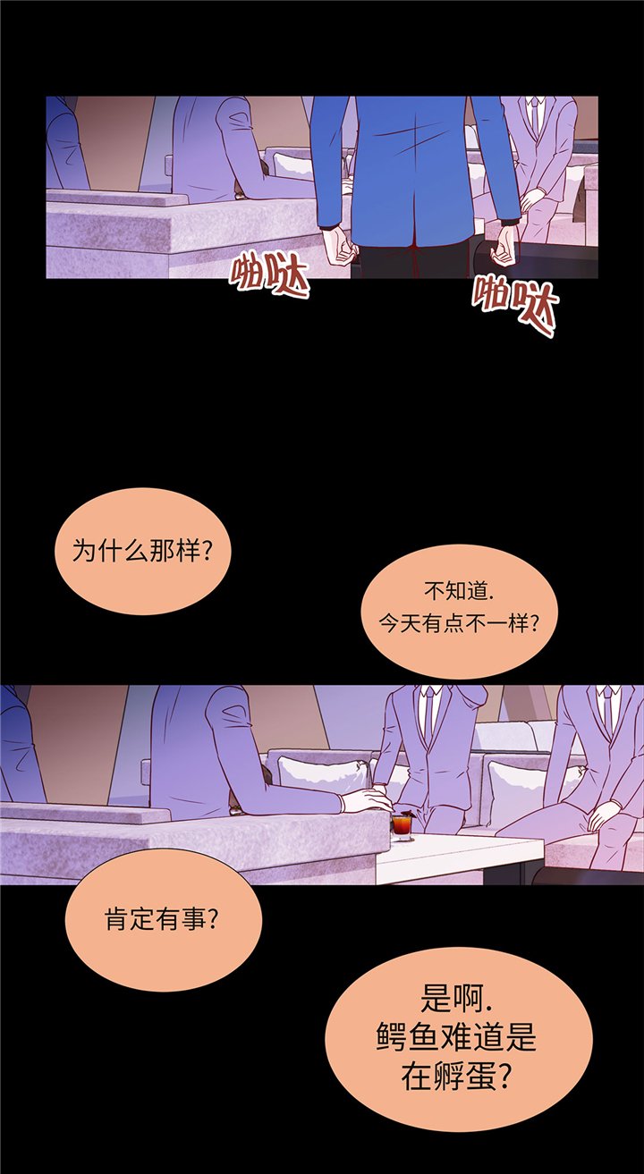 第55章：表白？