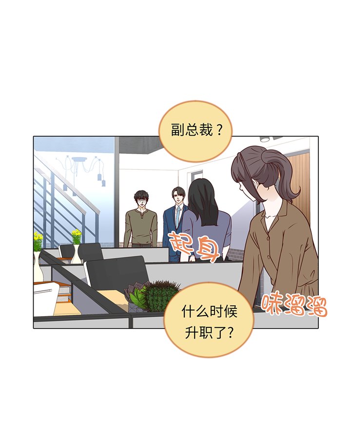 第64章：装修
