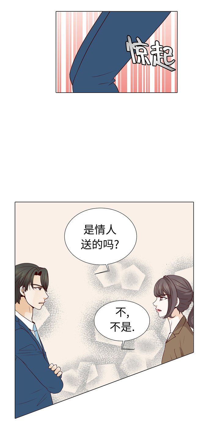 第65章：我送的花