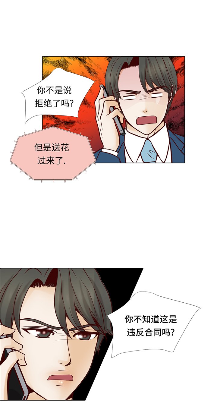 第65章：我送的花