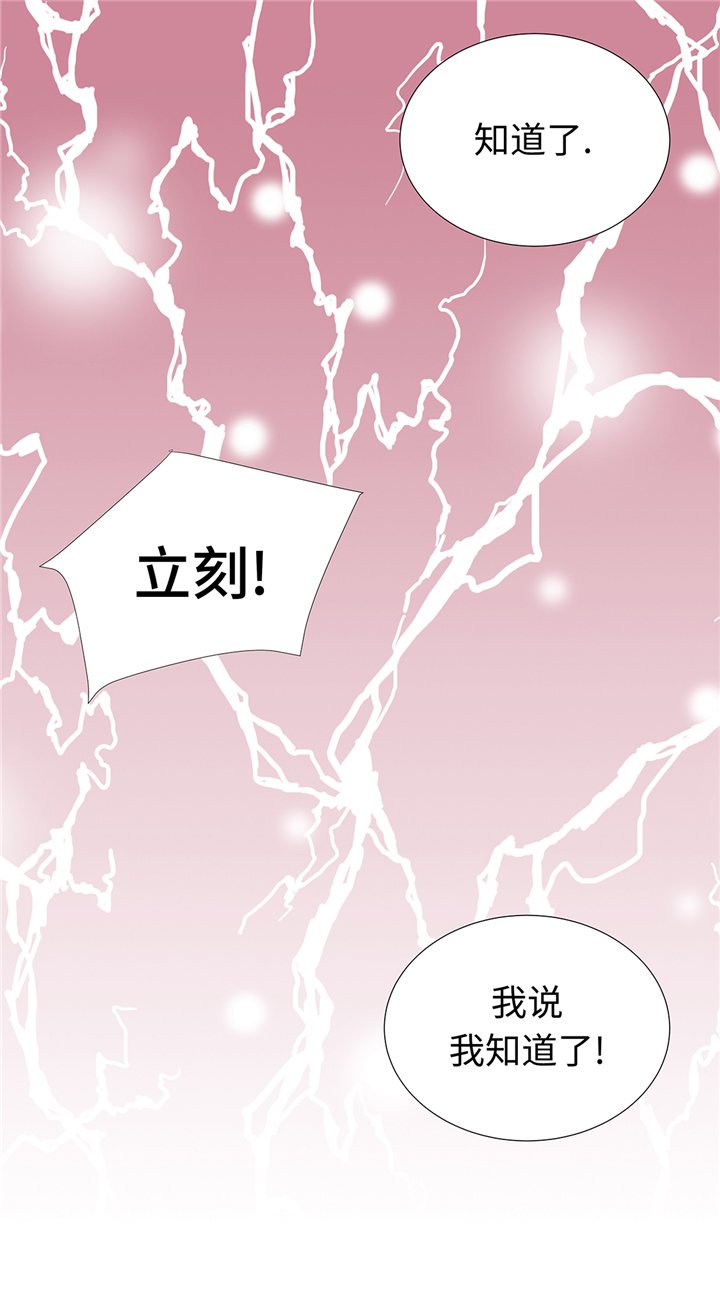 第65章：我送的花