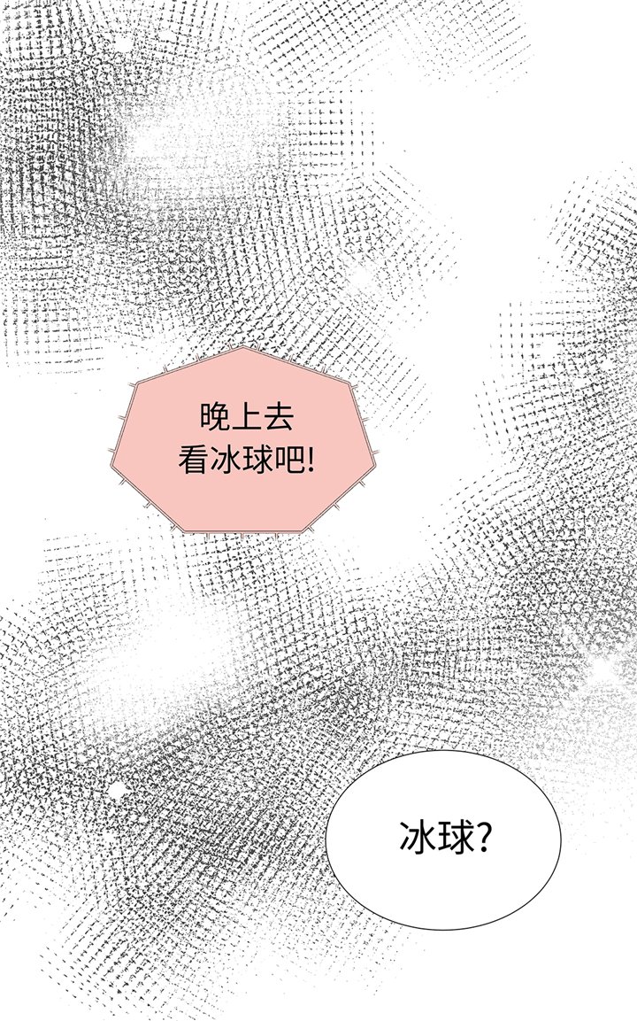 第65章：我送的花