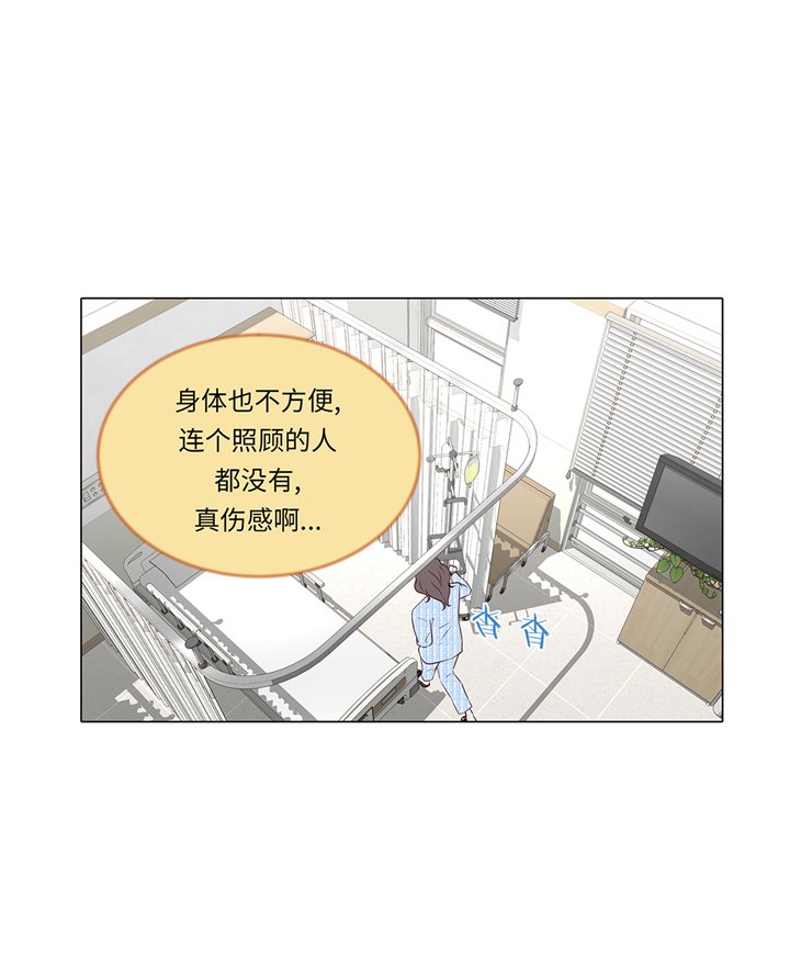 第77章：回来了