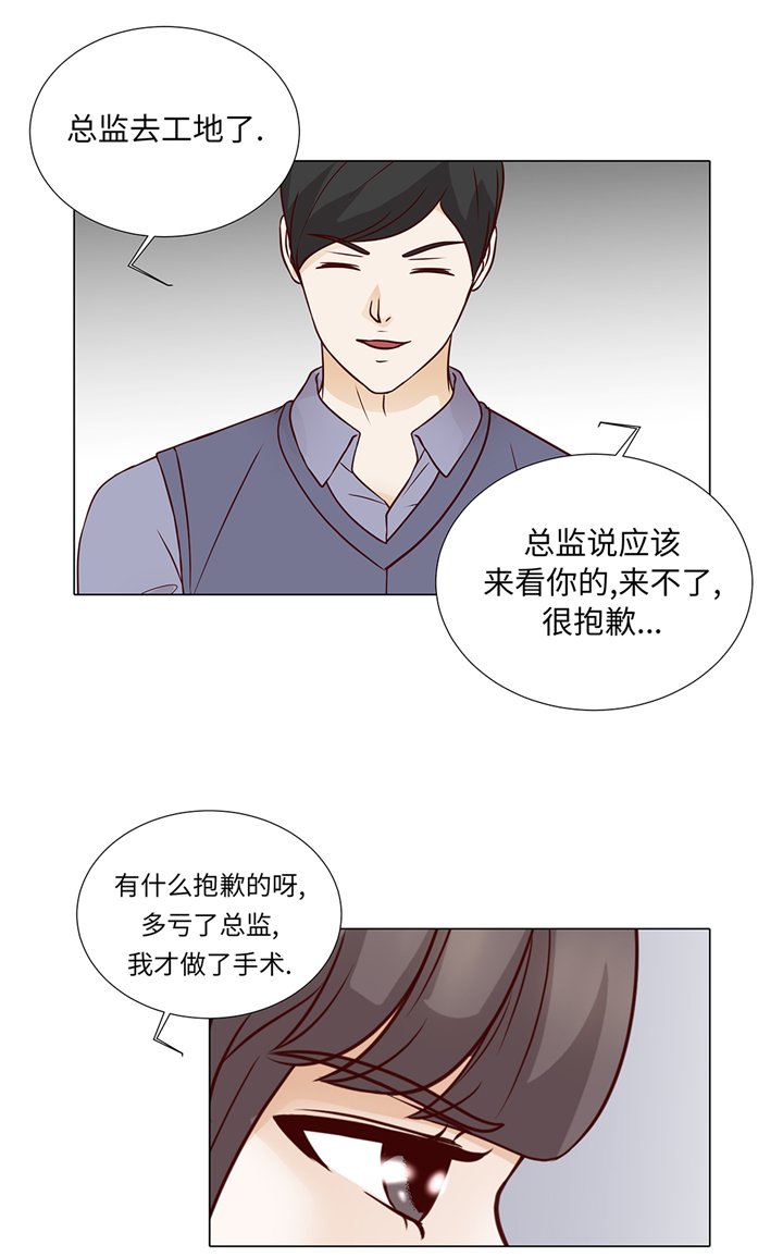 第77章：回来了