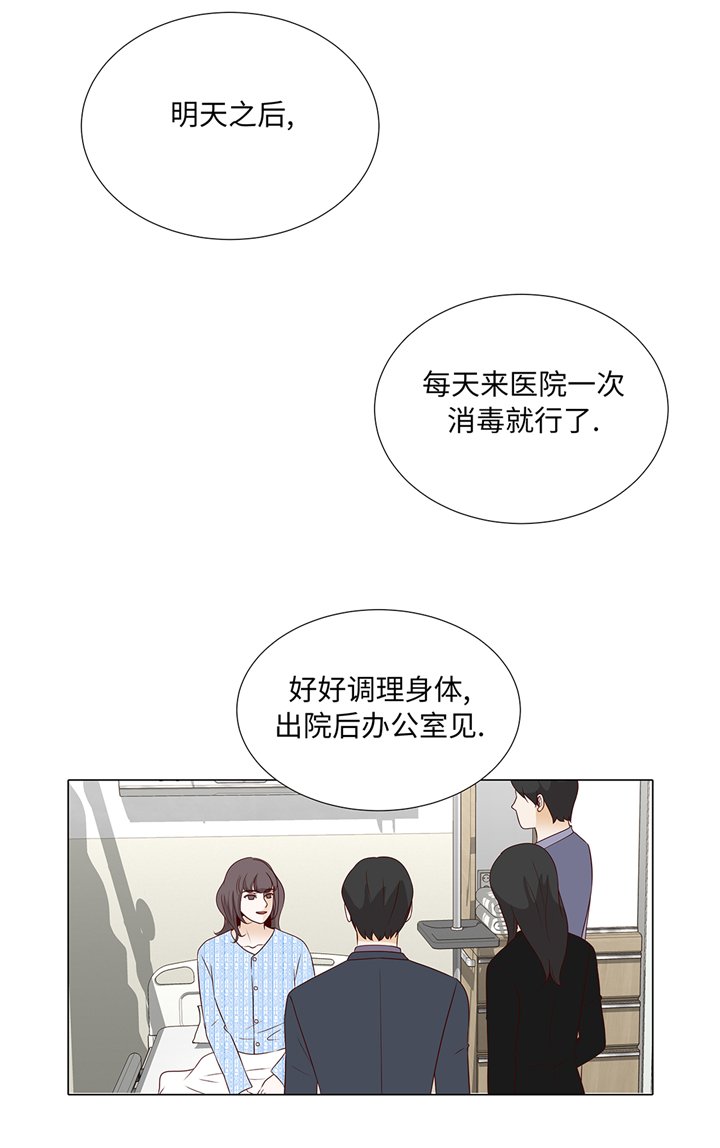 第77章：回来了