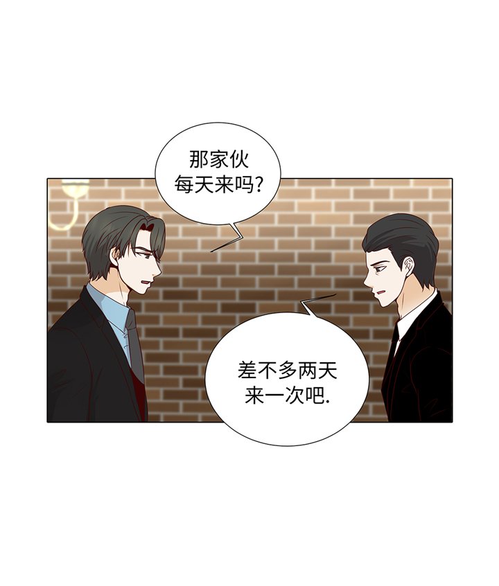 第85章：我弄死你