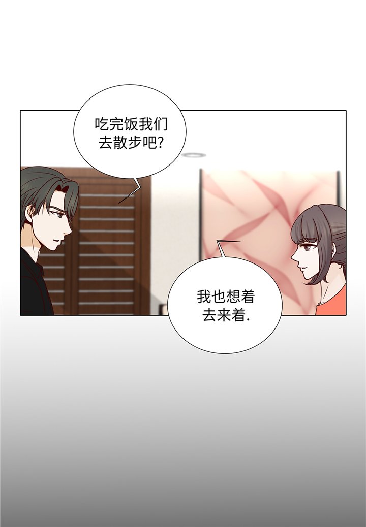 第91章：你的安排是什么