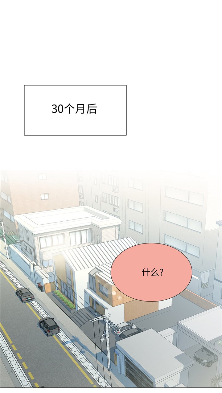 第95章：大结局