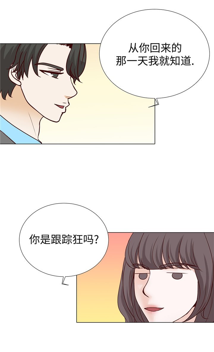 第95章：大结局