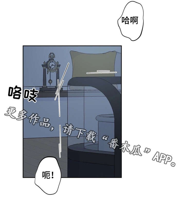 第20章：只能关注我