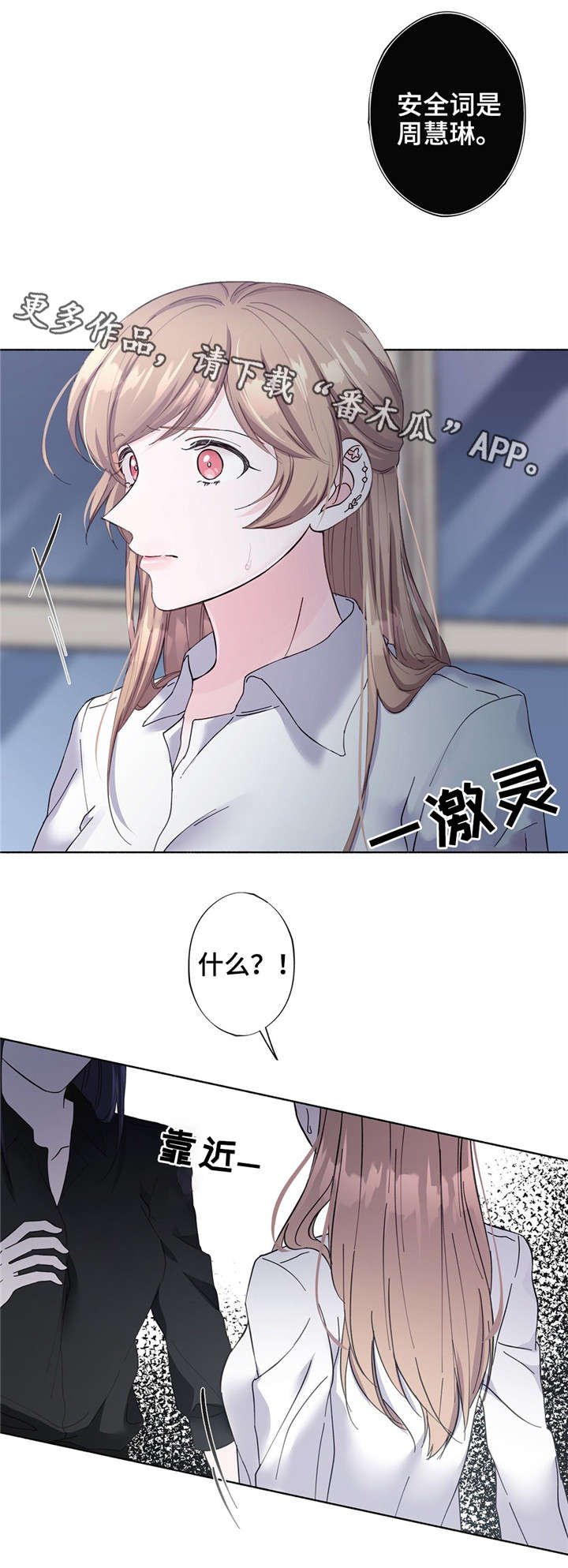 第27章：安全词