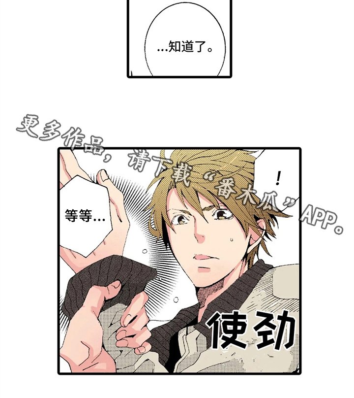 第15章：解释