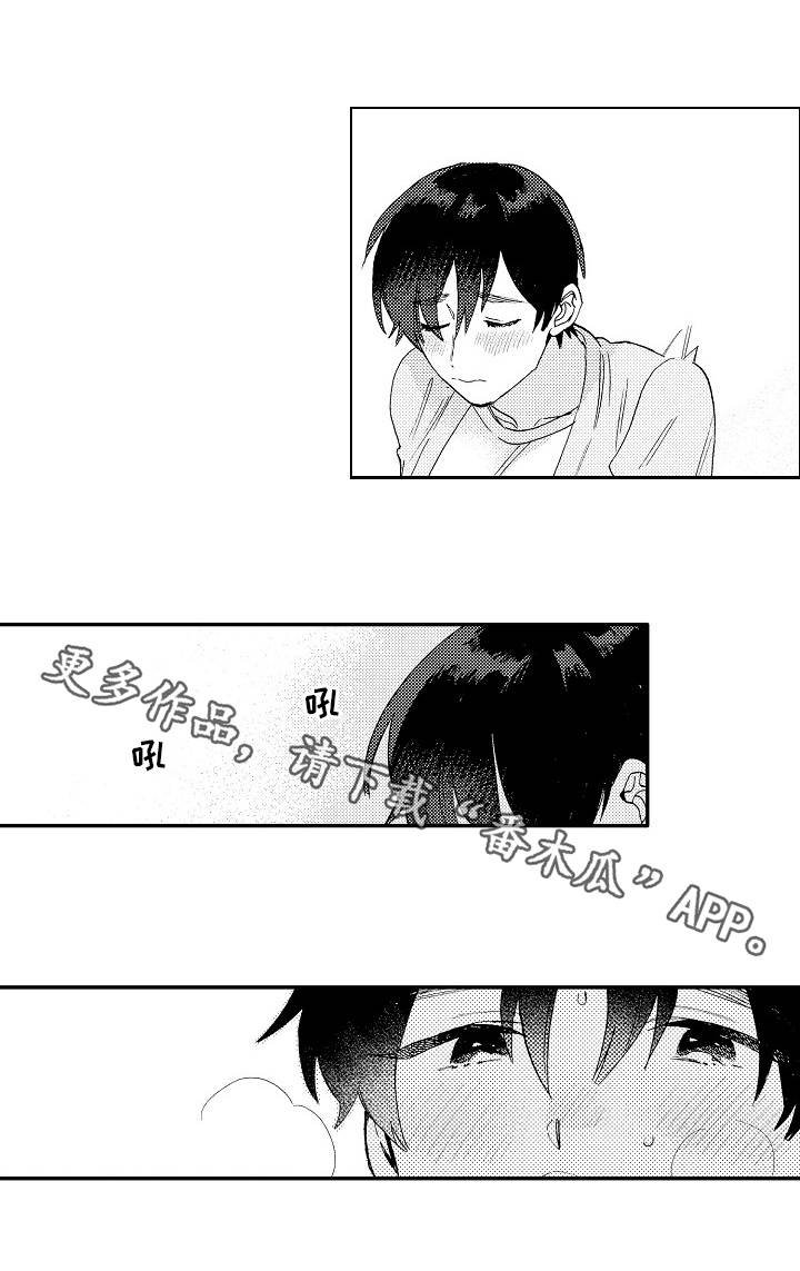 第17章：解释