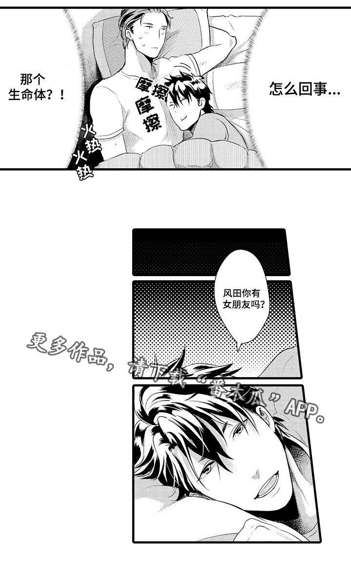 第29章：测试一下