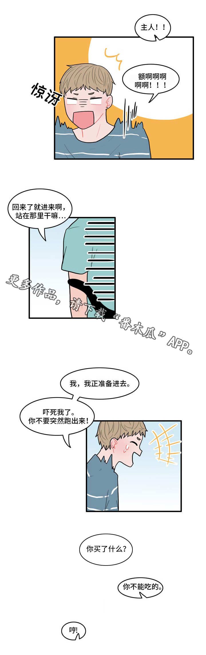 第11章：野营