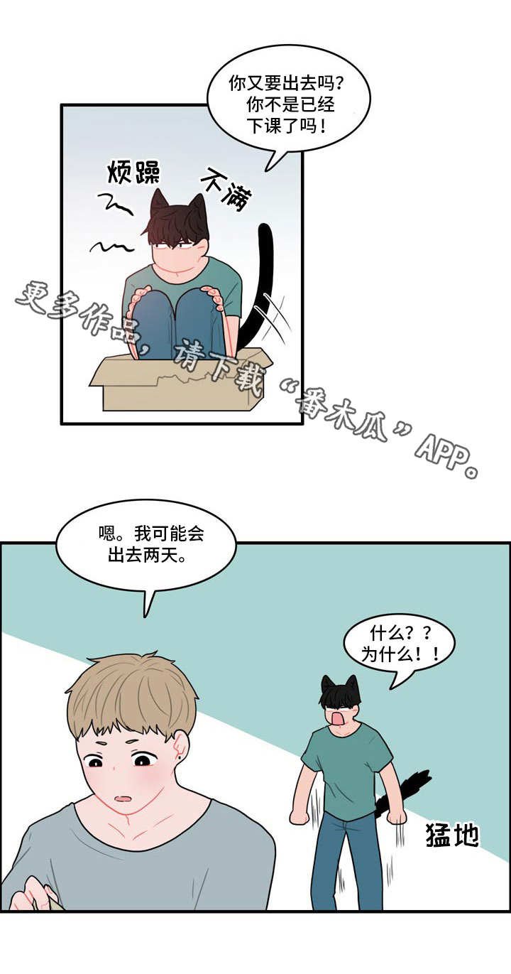 第11章：野营