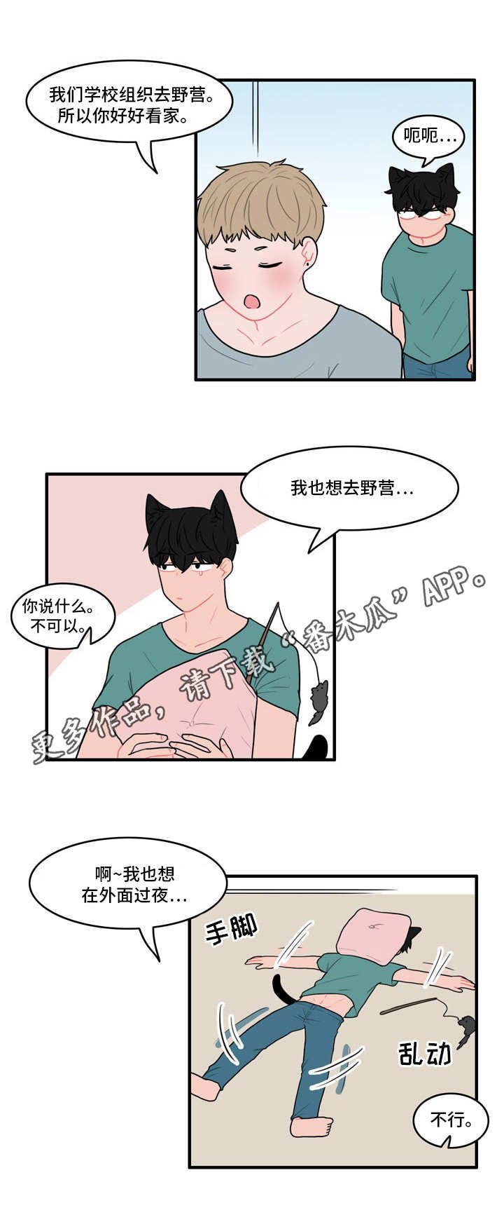第11章：野营