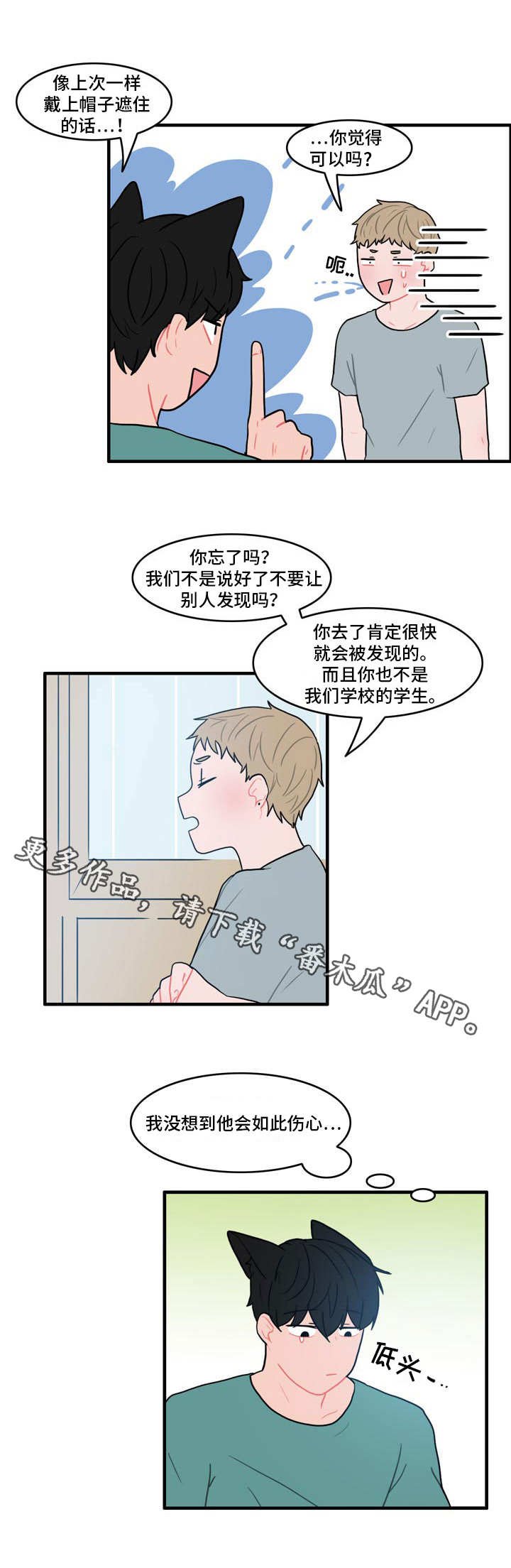 第11章：野营