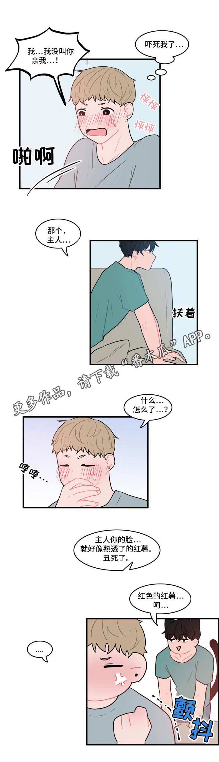 第12章：电话