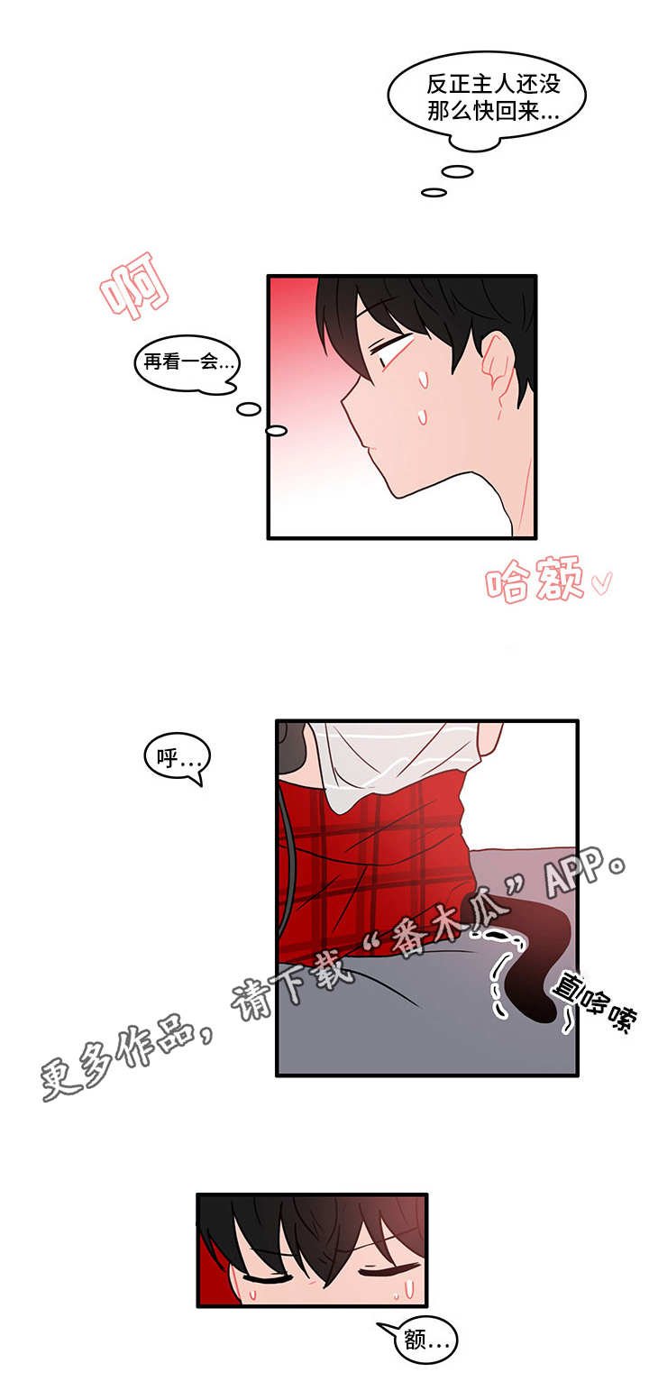 第16章：疑心
