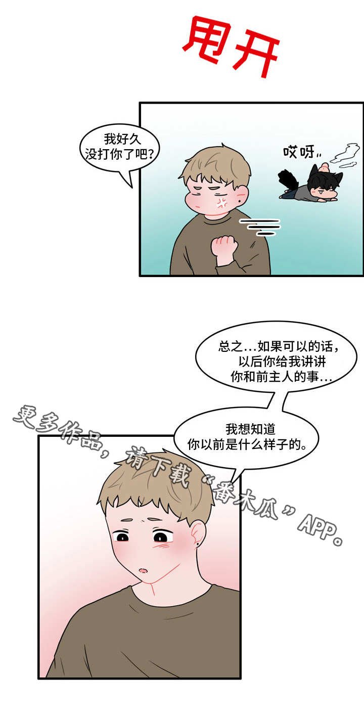 第43章：住手