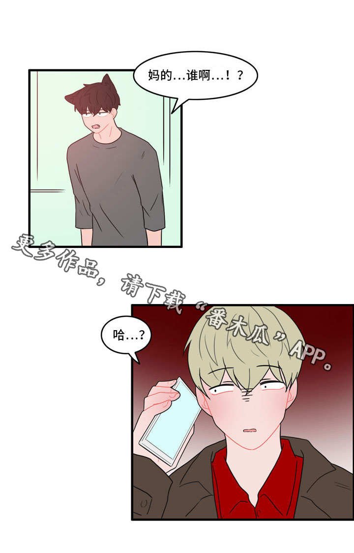 第43章：住手