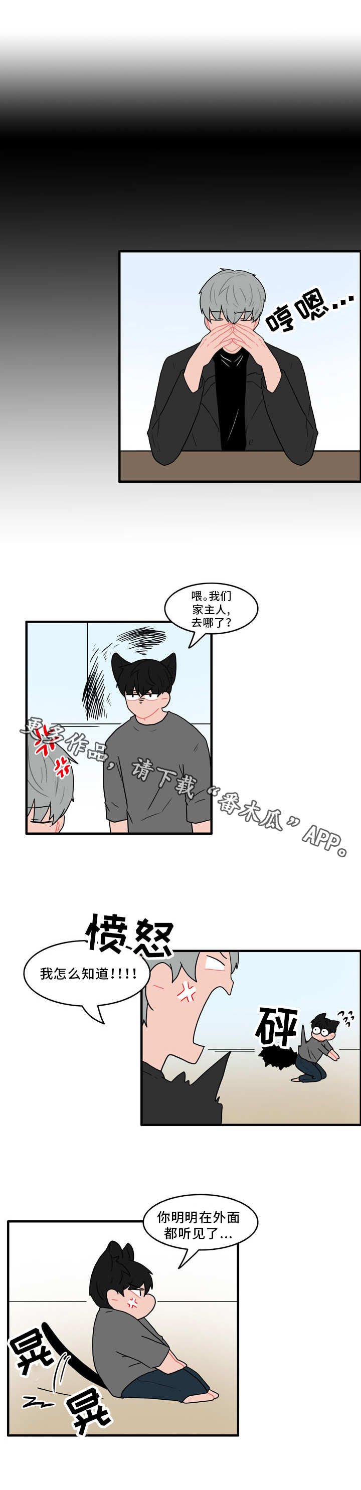 第44章：协议