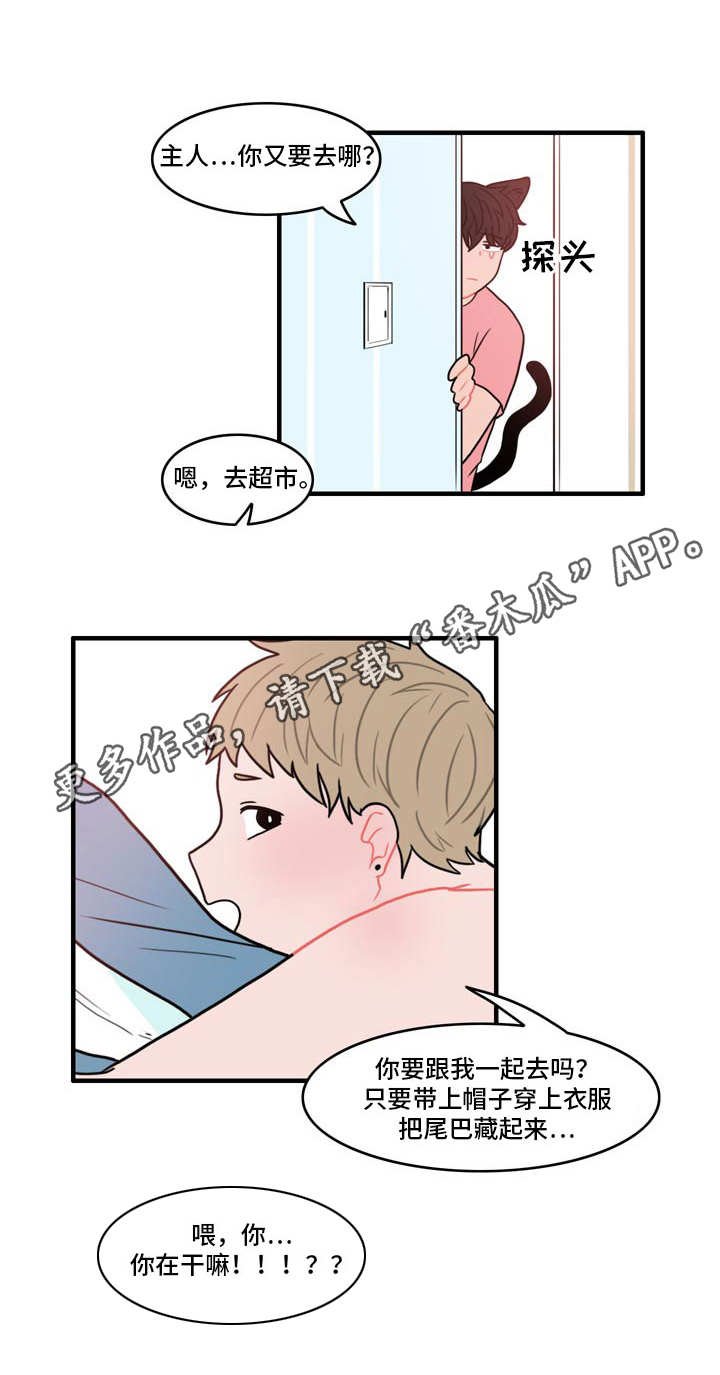 第5章：春植