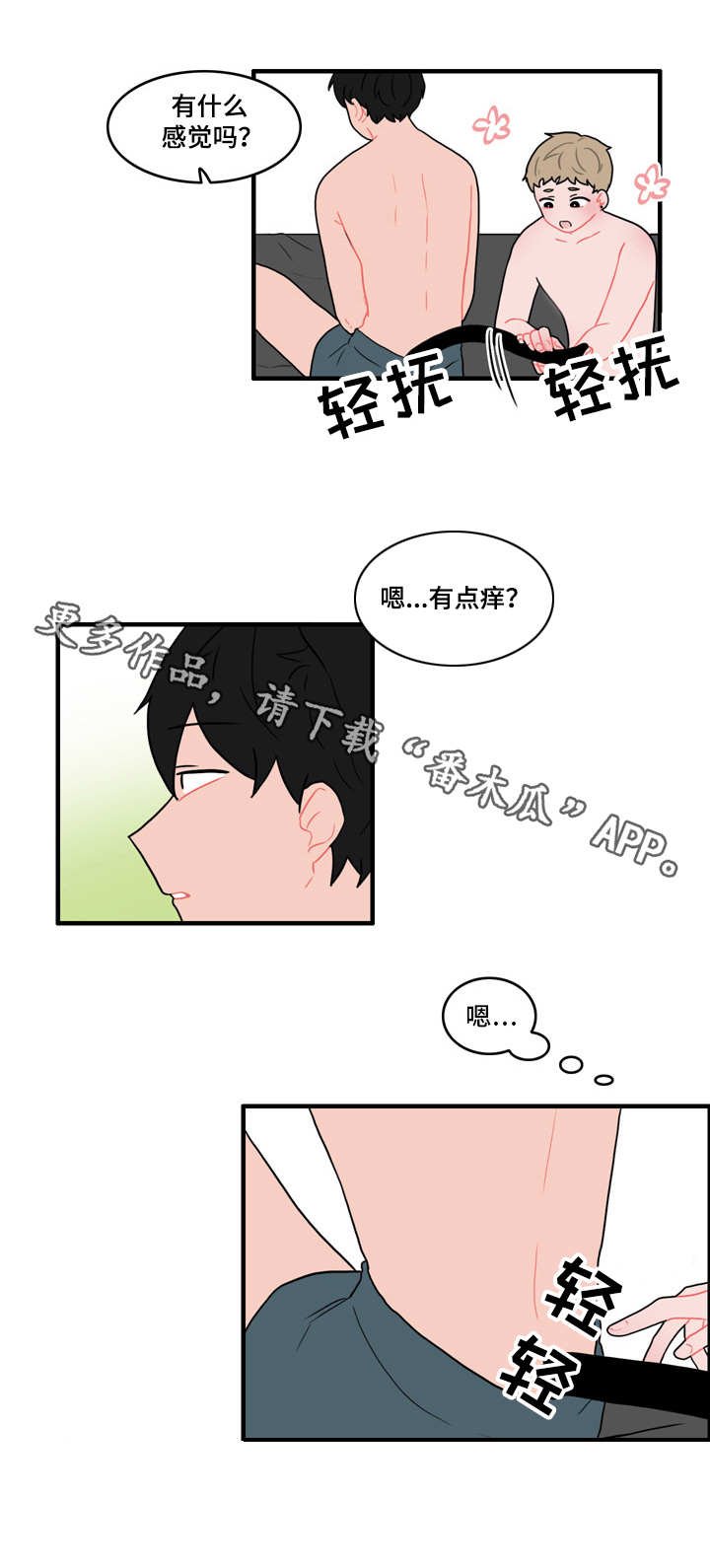 第53章：计划