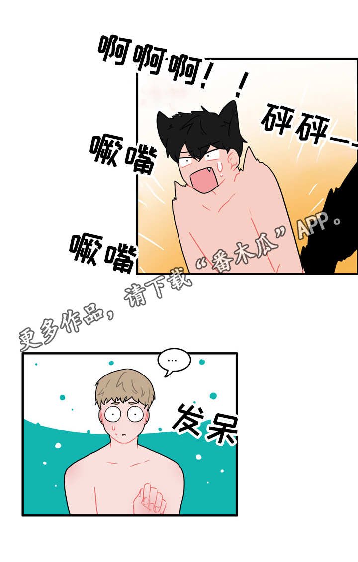 第53章：计划