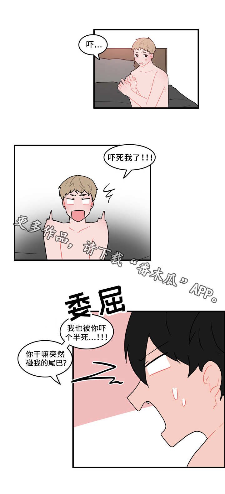 第53章：计划