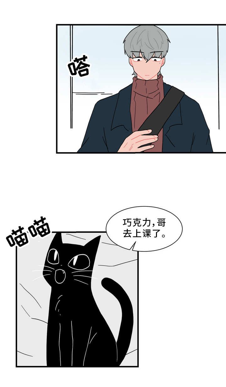 第56章：真相
